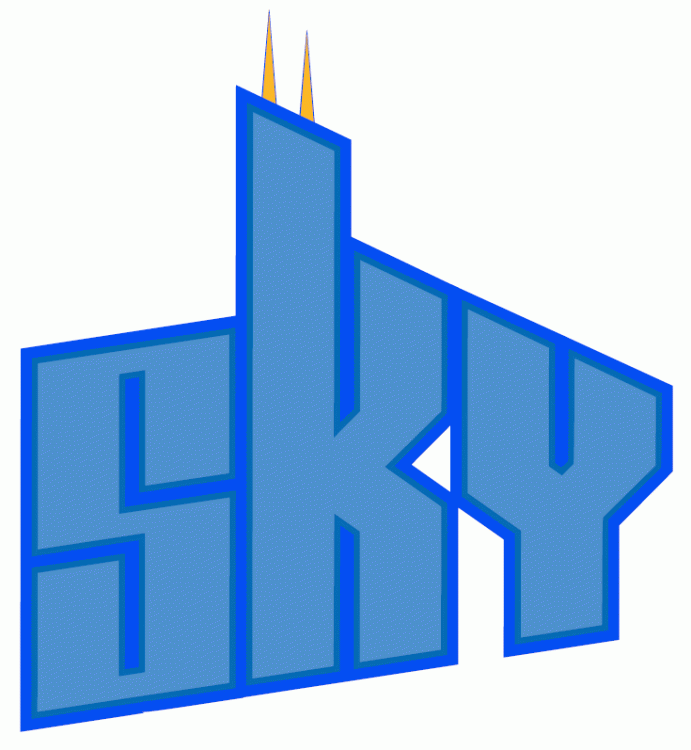 Chicago Sky 2006-Pres Wordmark Logo v3 iron on heat transfer